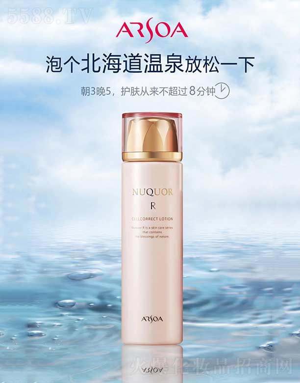 �Ϻ���������Ƽ����޹�˾����ˮ