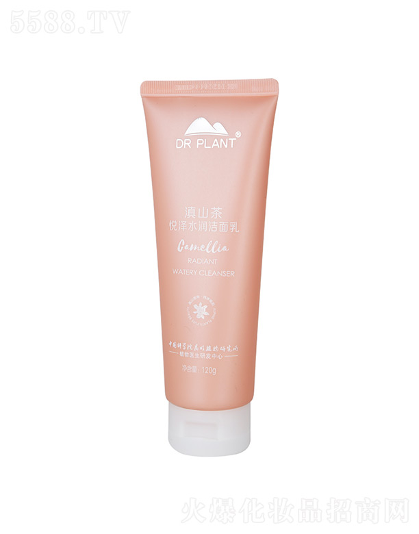 ����ֲ���t������Ƽ����޹�˾��ֲ���t����ɽ�萂��ˮ��������