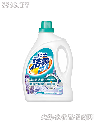 �Ϻ��������޹�˾������˲��o��ϴ��Һ�����ٻ��㣩2kg