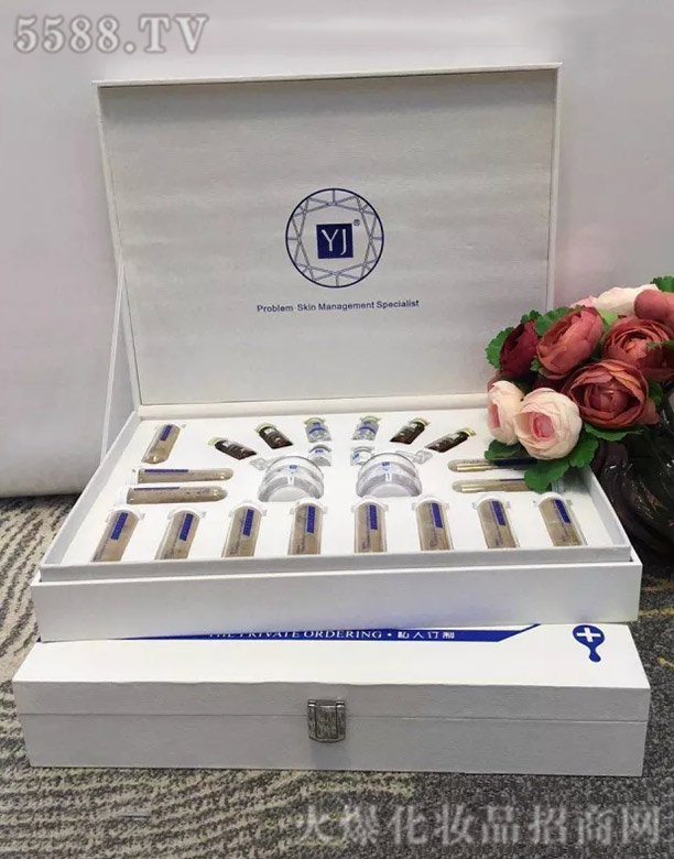 �Ϻ���������Ƽ����޹�˾��˽��ӆ����ʮ����ɆT