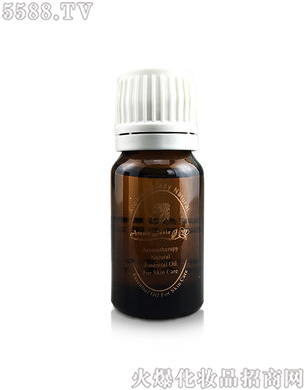 �麣������I�����Z������������