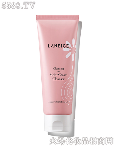 �����򻯊yƷ���Ϻ������޹�˾���m֥�������B���