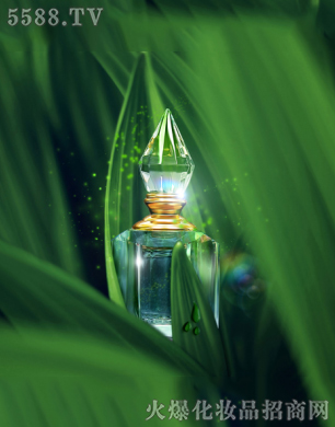 �x�����R�ϻ��yƷ���޹�˾���Ų�����ˮɭ��FOREST