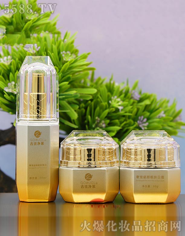 �Ϻ����W����Ƽ����޹�˾���������R�݌�����n�w������