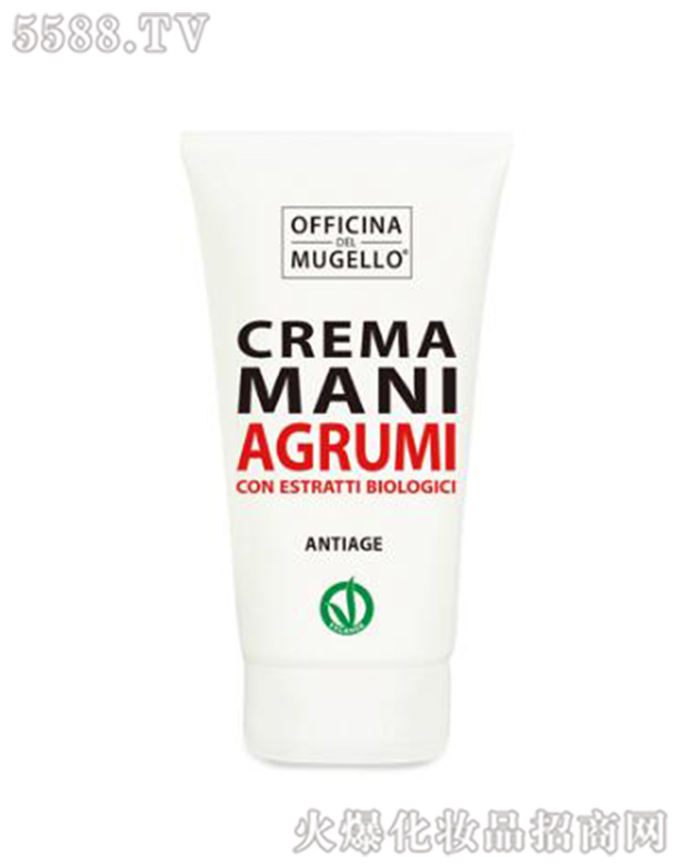 �G�H�Q�ף��Ϻ������޹�˾���½��_�����ϙ����o��˪