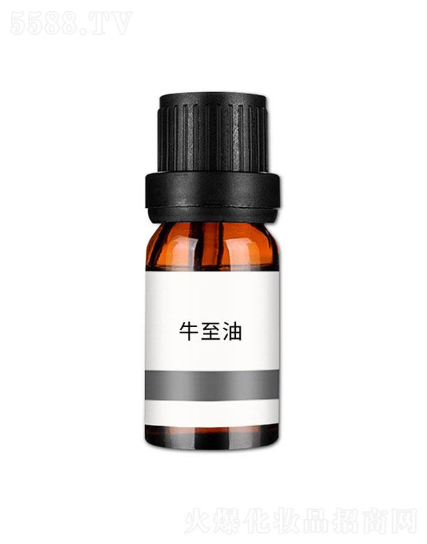 �V�݊��n����Ƽ����޹�˾�����nţ����