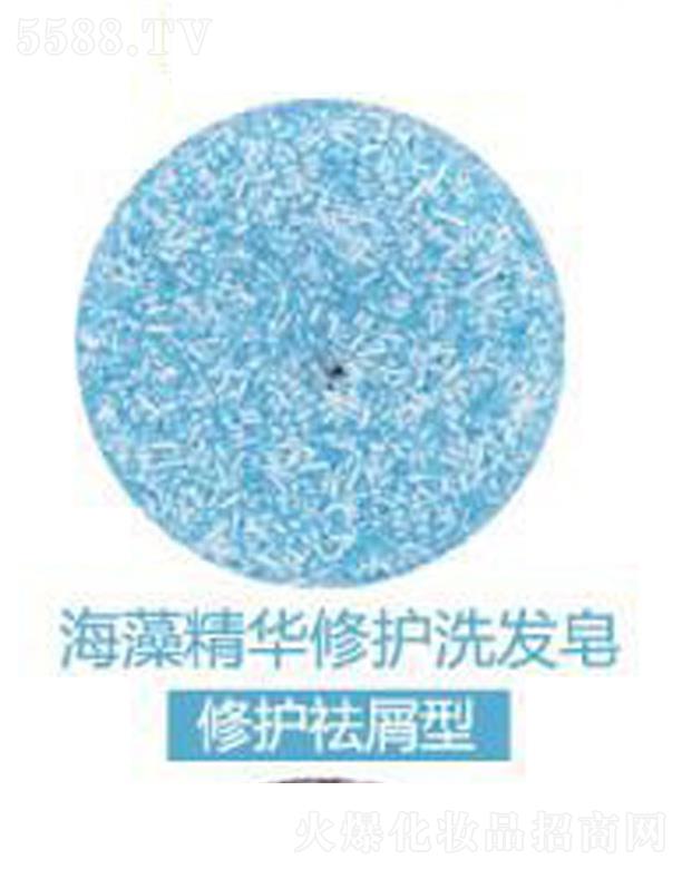 �V���G������Ƽ����޹�˾����ܽ�����徫�A���oϴ�l��-���o��м��