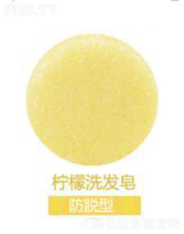 �V���G������Ƽ����޹�˾����ܽ������ϴ�l��