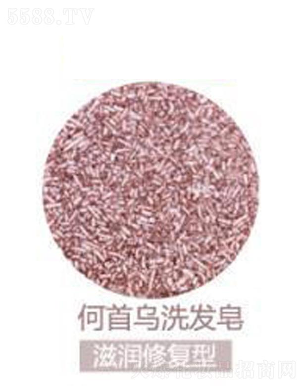 �V���G������Ƽ����޹�˾����ܽ�����מ�ϴ�l��-�̝��ޏ���