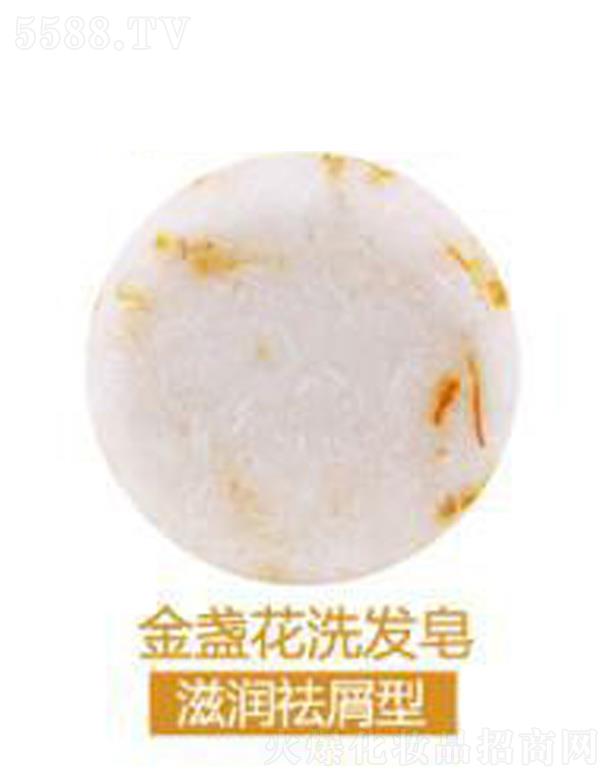 �V���G������Ƽ����޹�˾����ܽ����K��ϴ�l��-�̝���м��