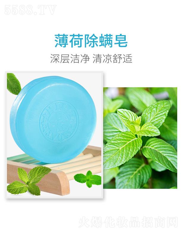 ��������Դ���I���޹�˾��ֲ���ͱ��ɳ�����