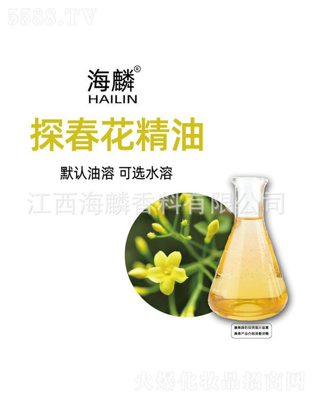 ���������㾫���޹�˾������̽��������