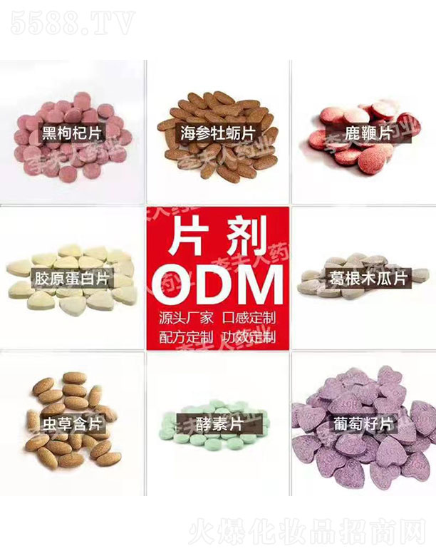 �V�ݘI�\����Ƽ����޹�˾��Ƭ��ODM