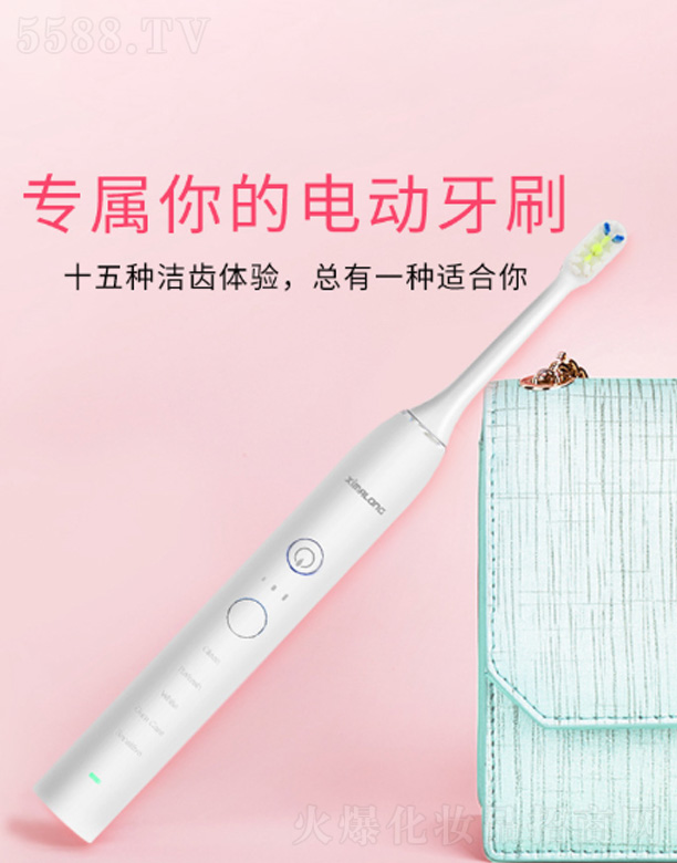 ���������R���Ƽ����޹�˾��ZR505-15�n��(sh��)������늄���ˢ