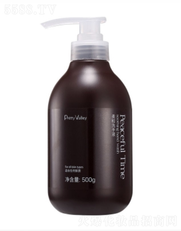 �V�݅R������Ȼ��Ʒ�B�i���޹�˾�����ϴ��Һ 500g