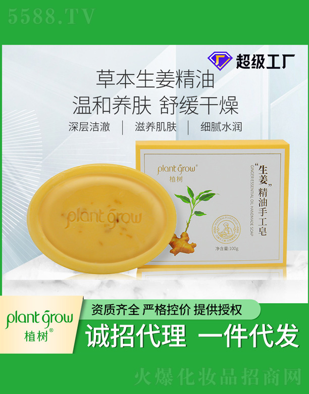 �V�|�������Ƽ����޹�˾��ֲ�����������ֹ���