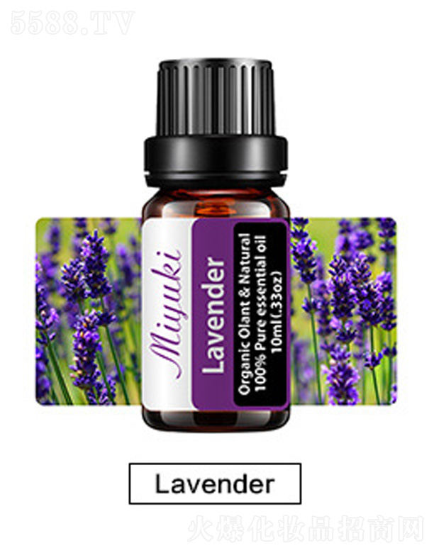 �V���׋I����Ƽ����޹�˾���o�w��޹��Ħ��-޹�²�