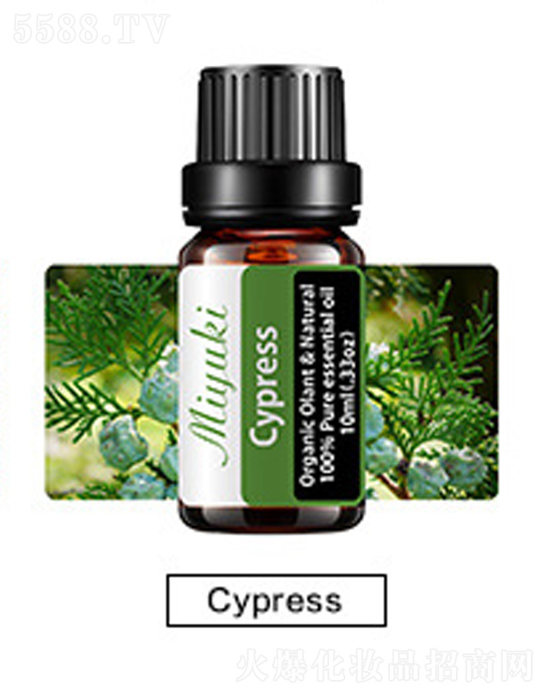 �V���׋I����Ƽ����޹�˾���o�w��޹��Ħ��-cypress��ľ