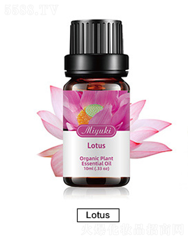 �V���׋I����Ƽ����޹�˾���o�w��޹��Ħ��-Lotusɏ��