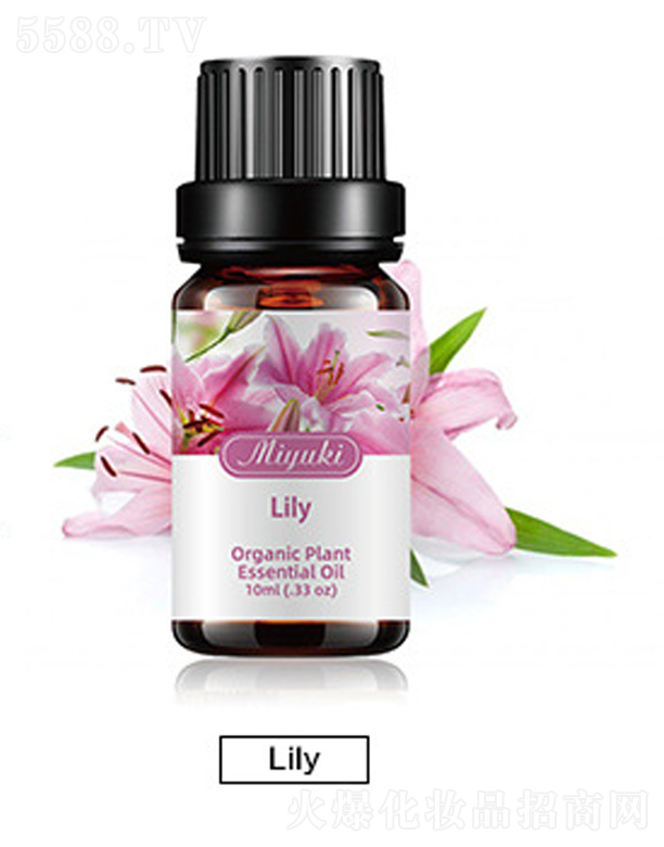 �V���׋I����Ƽ����޹�˾���o�w��޹��Ħ��-Lily����