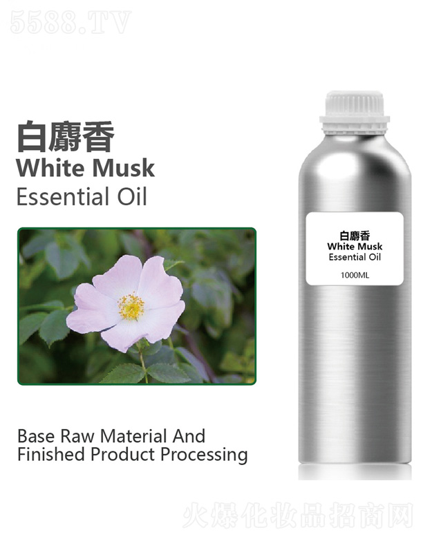 �V���׋I����Ƽ����޹�˾�������㾫��OEM