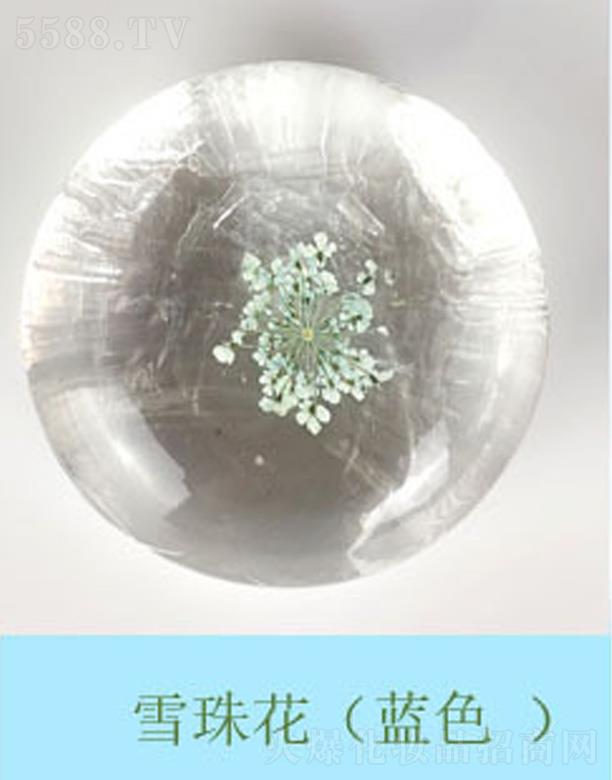 �V���к����m����Ƽ����޹�˾���������r����ѩ�黨-�{(l��n)ɫ