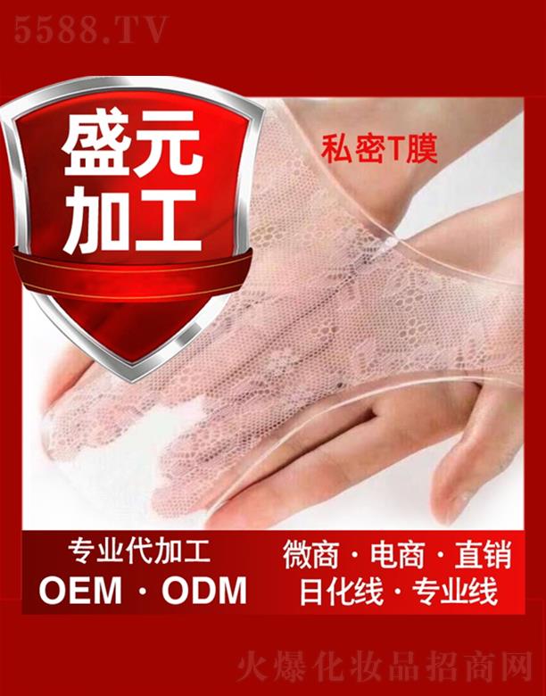 �V��ʢԪˎ�I���޹�˾��ʢԪˎ�I˽��TĤ���ӹ�