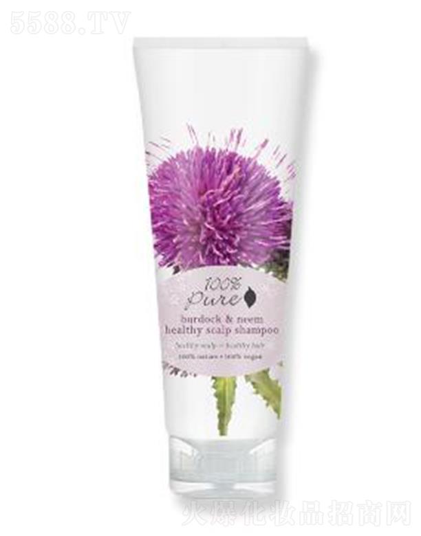 ��ݻ��������Q���޹�˾��Pure���߽����^Ƥ��͸ϴ�l¶ 236ml�����^Ƥ