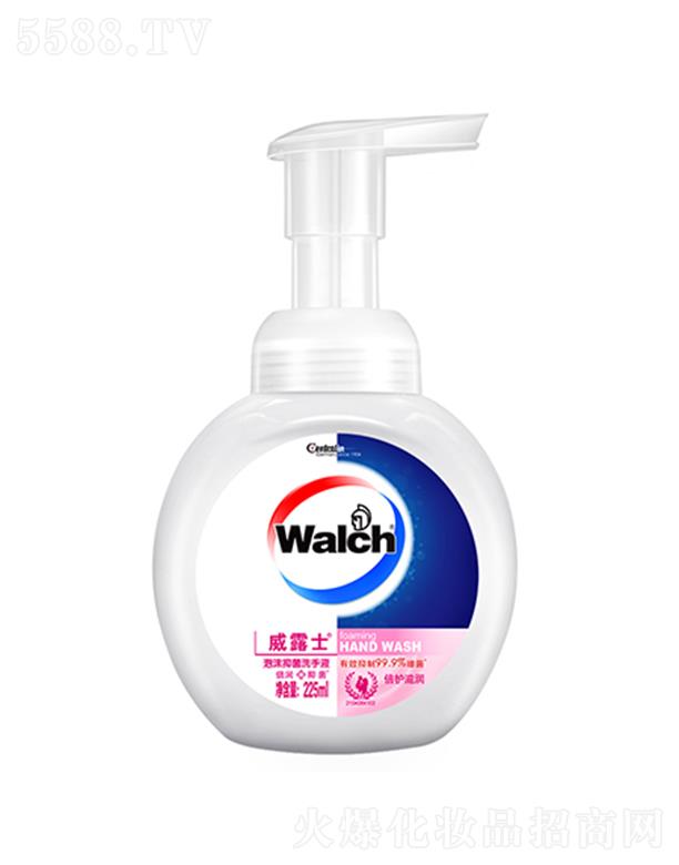 ���R���V�ݣ�����Ʒ���޹�˾����¶ʿ��ĭϴ��Һ ���o�̝� 225ml�غ͟o�̼��̝��Ử