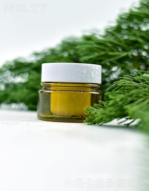 �V�|�WȪ�����Ƽ����޹�˾���WȪ�����ݱ������  �I�B�ޏ�