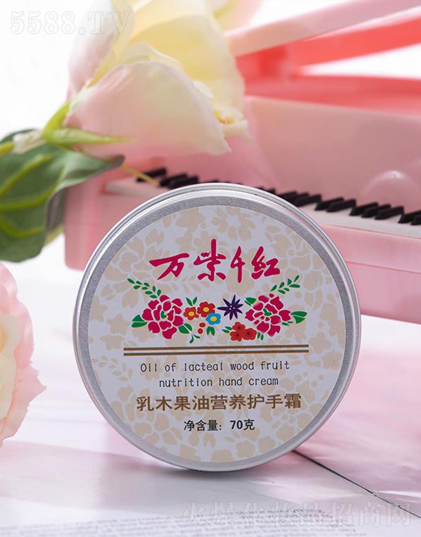 ��򌍰l�ƹ��Q���޹�˾���f��ǧ�t��ľ���͠I�B�o��˪ 70g�����ֲ����w�ֲ�