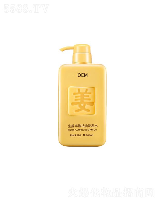 �V�ݚW���R����Ƽ����޹�˾���V�ݚW���R�����Sӯ����ϴ�lˮ