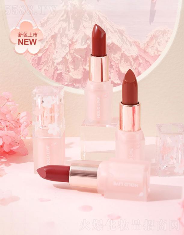 �K���K�����Q�����޹�˾���K���K����  HOLD-LIVE�ѻ������F����   �@���F��