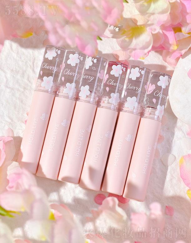 �K���K�����Q�����޹�˾���K���K����   HOLDLIVE���ѽq�F�ѻ�����    �����@��