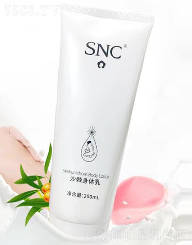 ��(n��i)�ɹ���˸߼��g(sh��)�a(ch��n)�I(y��)����؟�ι�˾��SNCɳ�����w��