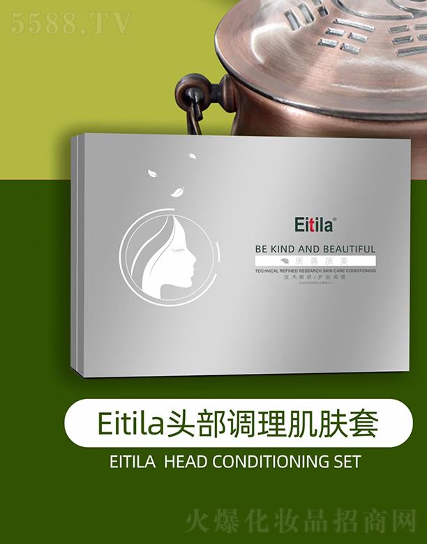 �V�����������Ƽ����޹�˾��Eitila�^���{�����w��