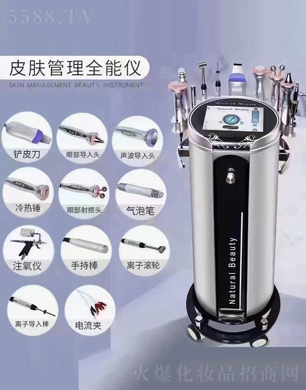 ľ����Ƽ����V�ݣ����޹�˾��Natural BeautyƤ�w����ȫ�܃x