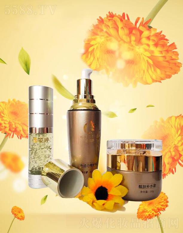 �V����ѩ��������Ƽ����޹�˾��ѩ�������o����