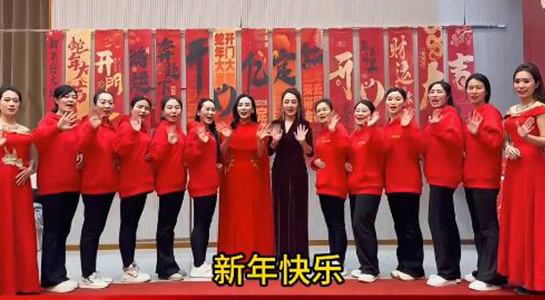 蛇年好運(yùn)至,幸福滿人間!飛斯達(dá)祝您百事從歡,一路向陽(yáng)!