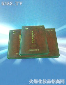 �����C�܏ͻ���