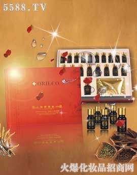 ��������ˎ�����B��