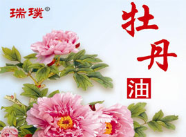 �ʝ����ĵ���a�I�Ƽ��lչ���޹�˾