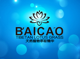 �����Ԫ���Q���޹�˾