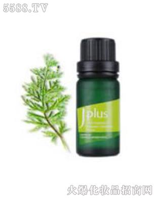 �I���B����