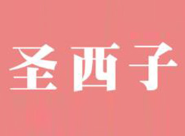 ���ʥ���ӽ����������޹�˾