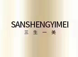 ����һ������Ƽ����V�ݣ����޹�˾