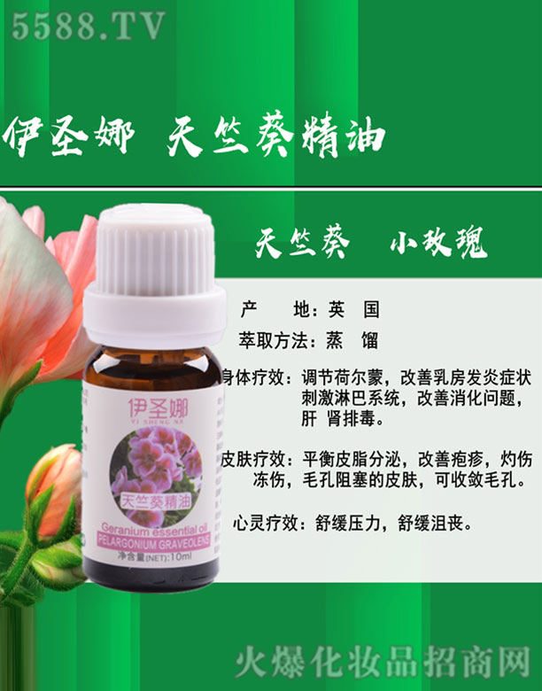 ��ʥ�����ÿ�����