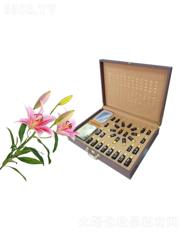 �w�w�B����