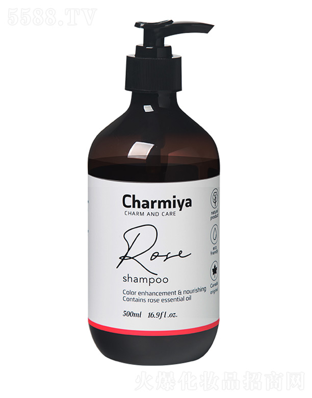 �ȋZ.��õ�徫������ϴ�l�� 500ml