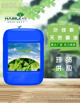 �����~�G�ؾ���